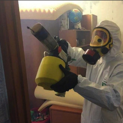 Уничтожение клопов в квартире. Хилок